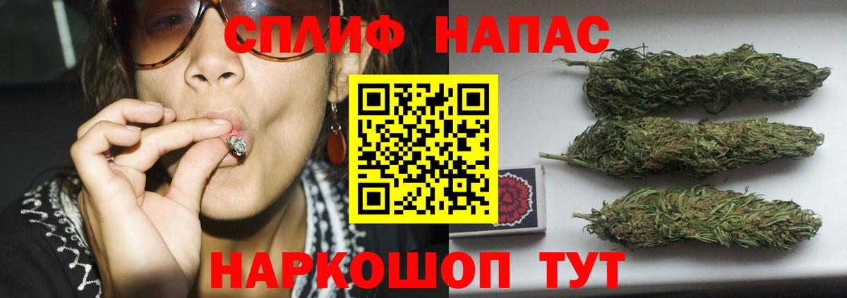Канабис конопля Советск